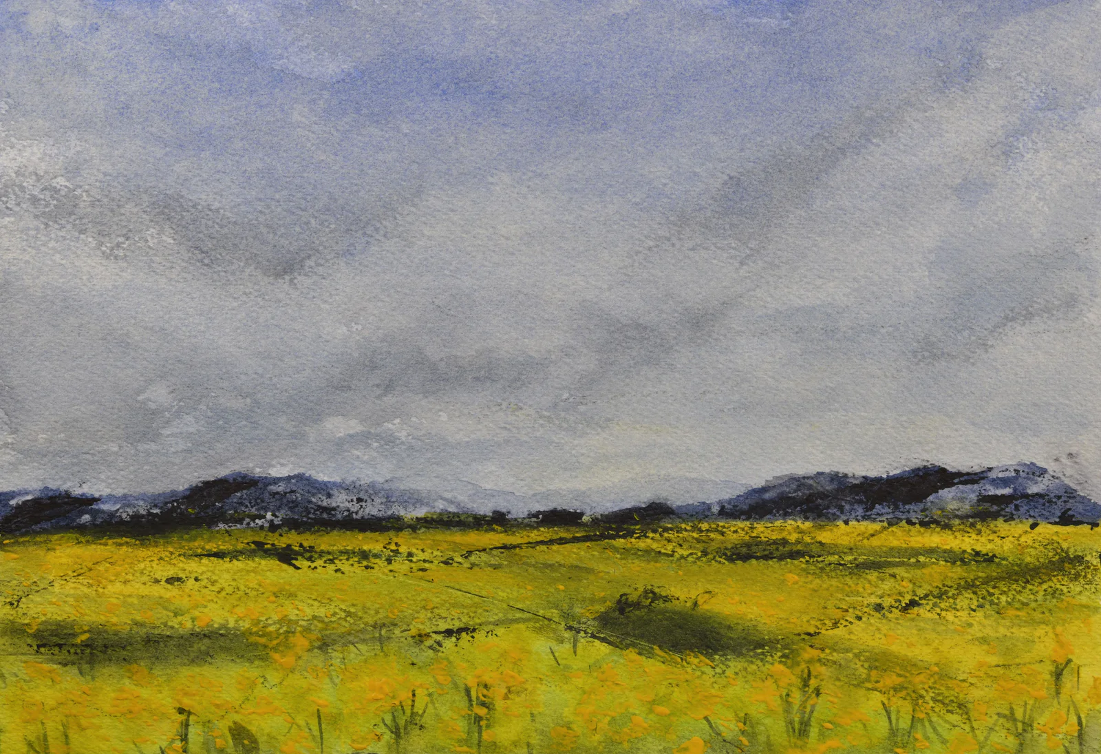 Canola Fields, a watercolor artwork by Philip Hossu.