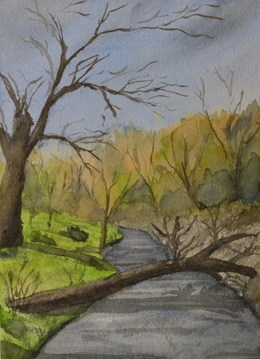 Stream In Gholson, a watercolor artwork by Philip Hossu.