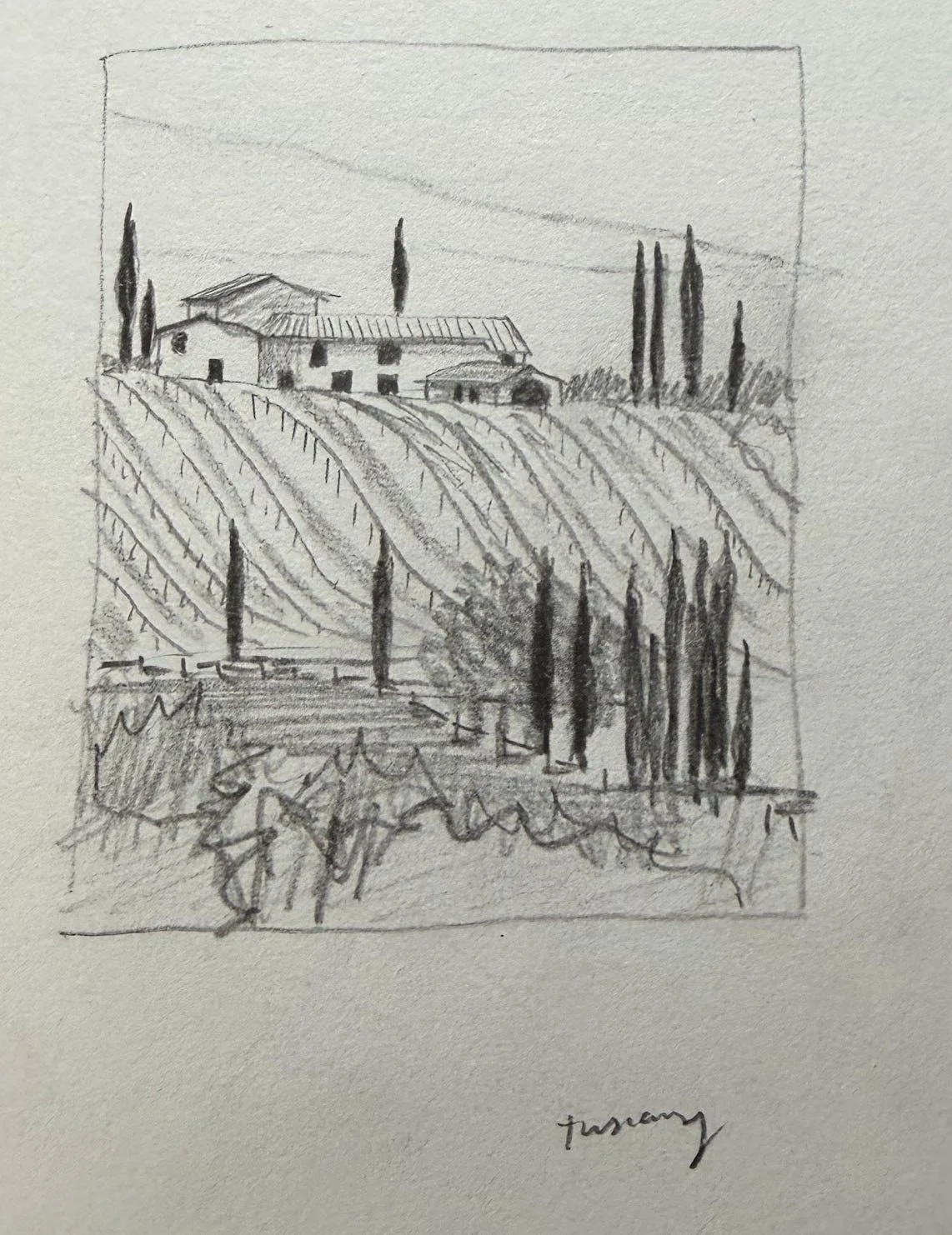 Graphite Tuscan field study by Philip Hossu.